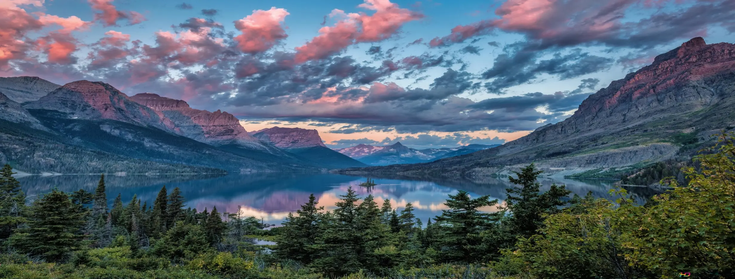 Image for Montana WILD Encounters